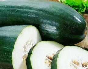 吃瓜娱乐营养,营养生活新风尚